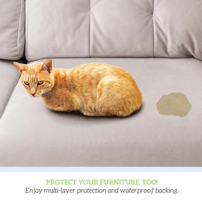 Show full view: Green Lifestyle Reusable Dog Pee Pads, 34 x 36-in, 4 count slide 5 of 8