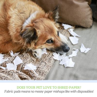 Show full view: Green Lifestyle Reusable Dog Pee Pads, 34 x 36-in, 4 count slide 6 of 8