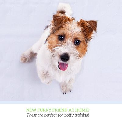 Show full view: Green Lifestyle Reusable Dog Pee Pads, 34 x 36-in, 6 count slide 4 of 8