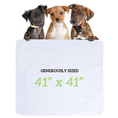 Show full view: Green Lifestyle Reusable Dog Pee Pads, 48 x 48-in, 2 count slide 5 of 6