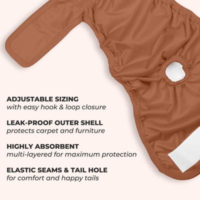 Show full view: Green Lifestyle Washable Dog Diapers, 3 count, Assorted Colors, Large: 18.5 to 22.5 -in waist slide 2 of 7