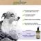 Show in main carousel: Greenbone Pet Spa All-Natural Plant-Based Shampoo, Lavendar & Chamomile, 16.9-fl oz bottle slide 6 of 8