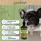 Show in main carousel: Greenbone Pet Spa All-Natural Plant-Based Shampoo, Oatmeal & Green Tea, 16.9-fl oz bottle slide 4 of 7