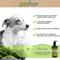 Show in main carousel: Greenbone Pet Spa All-Natural Plant-Based Shampoo, Oatmeal & Green Tea, 16.9-fl oz bottle slide 5 of 7