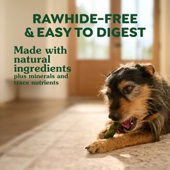 Greenies Occupy Twists Regular Chicken Flavor Natural Long-Lasting Chews Dog Treats, 6 count slide 2 of 9