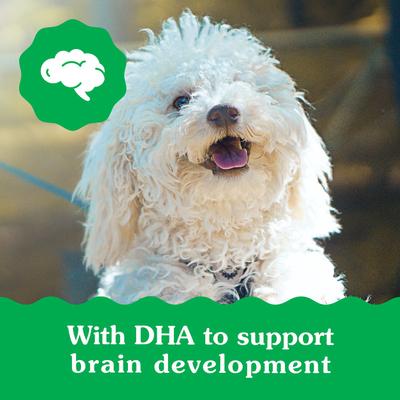 Show full view: Greenies Natural Petite Puppy Dental Dog Treats, 40 count slide 7 of 11