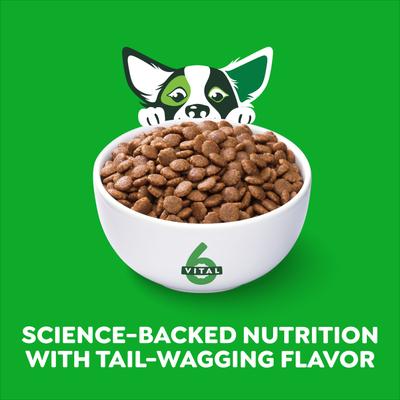 Show full view: Greenies Smart Essentials Small Breed Adult High Protein Real Chicken & Rice Dry Dog Food, 5.5-lb bag slide 4 of 12