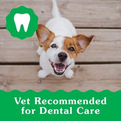 Greenies Natural Teenie Puppy Dental Dog Treats, 43 count slide 2 of 9