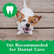 Show in main carousel: Greenies Natural Teenie Puppy Dental Dog Treats, 43 count slide 10 of 11