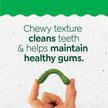 Show in main carousel: Greenies Natural Teenie Puppy Dental Dog Treats, 43 count slide 4 of 11