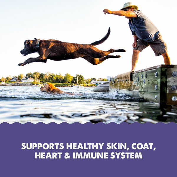 Show full view: Grizzly Omega Health Omega-3's Dog Supplement, 32-fl oz bottle slide 3 of 12