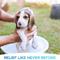 Show in main carousel: GROOM bathing tablets Bathe Your Dog In 5 Minutes! Pet Shampoo & Conditioner, 12 count slide 4 of 10