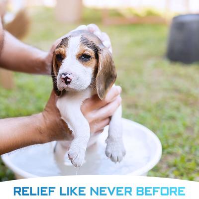 Show full view: GROOM bathing tablets Bathe Your Dog In 5 Minutes! Pet Shampoo & Conditioner, 12 count slide 4 of 10