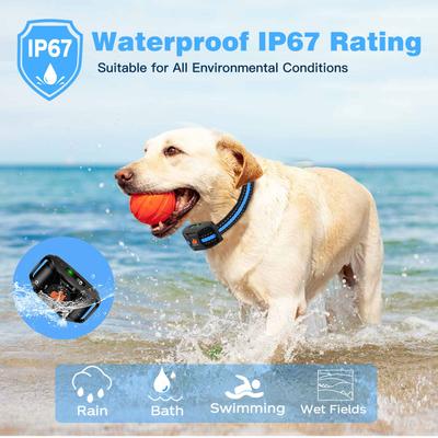 Show full view: GroovyPets 1100 Yard Remote Dog Training Shock Collar, Black slide 6 of 10