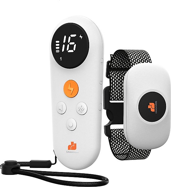 Show full view: GroovyPets 550-yard Remote Dog Training Shock Collar, One Size, White slide 1 of 10