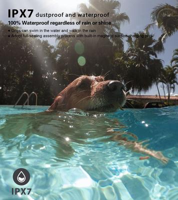 Show full view: GroovyPets 650 Yard Auto Anti-bark Remote Dog Training Shock Collar, Black, 1 Dog Kit slide 6 of 11