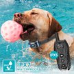 Show in main carousel: GroovyPets 650 Yard Waterproof Dog Training Shock Collar, 1 collar slide 6 of 9