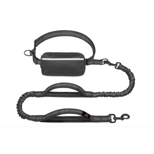 GroovyPets Bungee Hands-Free Reflective Running Dog Leash with Carrying Case, Large: 51 to 68-in long, 1-in wide, Black