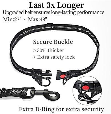Show full view: GroovyPets Bungee Hands-Free Reflective Running Dog Leash with Carrying Case, Large: 51 to 68-in long, 1-in wide, Black slide 5 of 6