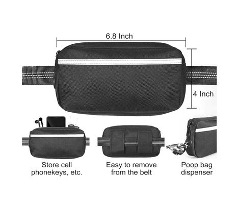 Show full view: GroovyPets Bungee Hands-Free Reflective Running Dog Leash with Carrying Case, Large: 51 to 68-in long, 1-in wide, Black slide 4 of 6