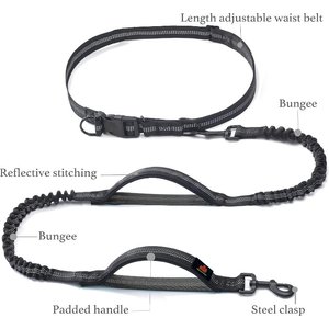 GroovyPets Bungee Hands-Free Reflective Running Dog Leash with Carrying Case, Large: 51 to 68-in long, 1-in wide, Black