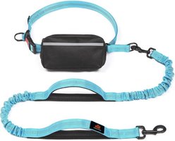 GroovyPets Bungee Hands-Free Reflective Running Dog Leash with Carrying Case, Large: 51 to 68-in long, 1-in wide, Blue