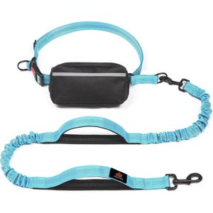 GroovyPets Bungee Hands-Free Reflective Running Dog Leash with Carrying Case, Large: 51 to 68-in long, 1-in wide, Blue