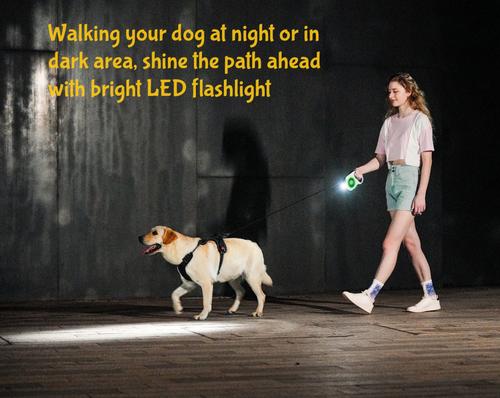 Show full view: GroovyPets LED Flashlight Color Streamer Ring Nylon Retractable Dog Leash, 16-ft long, 3/8-in wide, Purple slide 8 of 10