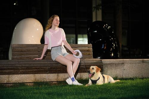 Show full view: GroovyPets LED Flashlight Wearable Hand-Free Retractable Dog Leash, 10-ft long, 3/8-in wide, Mocha slide 9 of 10