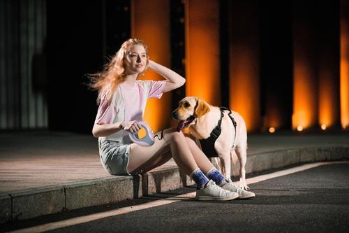 Show full view: GroovyPets LED Flashlight Wearable Hand-Free Retractable Dog Leash, 10-ft long, 3/8-in wide, Pink slide 9 of 10