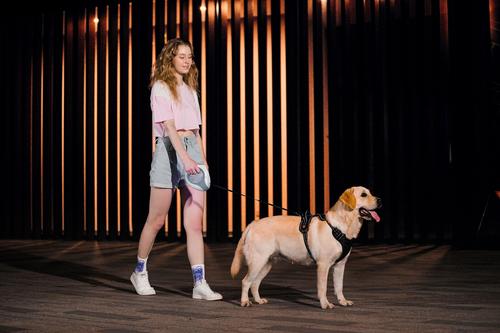 Show full view: GroovyPets LED Flashlight Wearable Hand-Free Retractable Dog Leash, 10-ft long, 3/8-in wide, White slide 9 of 10