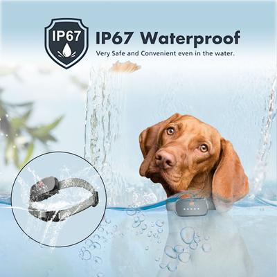 Show full view: GroovyPets Rechargeable Waterproof Bark Control Training Dog Collar, One Size, Black slide 5 of 10