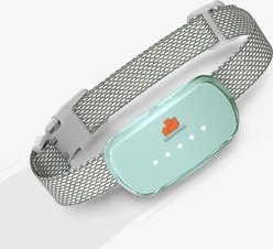 GroovyPets Rechargeable Waterproof Bark Control Training Dog Collar, One Size, Green