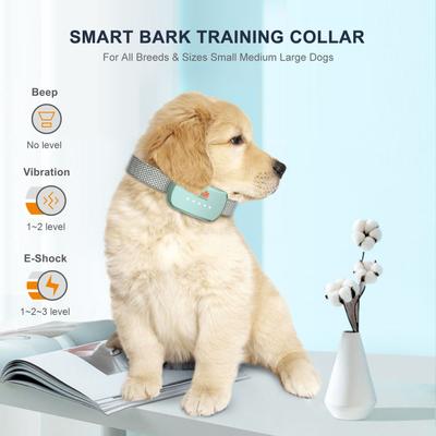 Show full view: GroovyPets Rechargeable Waterproof Bark Control Training Dog Collar, One Size, Green slide 5 of 11