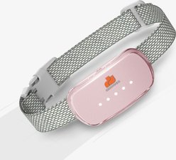 GroovyPets Rechargeable Waterproof Bark Control Training Dog Collar, One Size, Pink