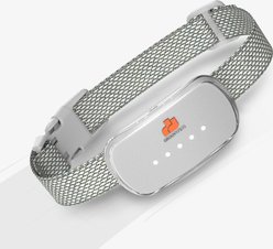 GroovyPets Rechargeable Waterproof Bark Control Training Dog Collar, One Size, White