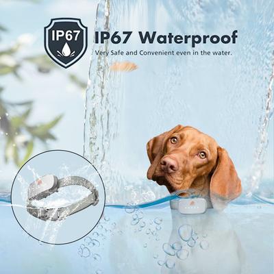 Show full view: GroovyPets Rechargeable Waterproof Bark Control Training Dog Collar, One Size, White slide 6 of 10