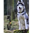 Show in main carousel: GroovyPets Rechargeable Waterproof Barking Control Automatic Anti Bark Dog Collar slide 5 of 9