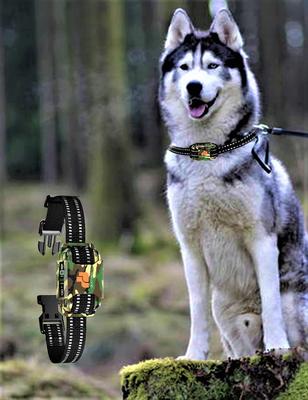 Show full view: GroovyPets Rechargeable Waterproof Barking Control Automatic Anti Bark Dog Collar slide 5 of 9