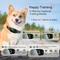 Show in main carousel: GroovyPets Smart Barking Control Waterproof Automatic Anti Bark Dog Collar, Black slide 3 of 9