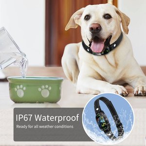 GroovyPets Smart Barking Control Waterproof Automatic Anti Bark Dog Collar, Black