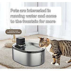 GroovyPets Stainless Steel Cordless Rechargeable Dog & Cat Water Fountain, 152-oz