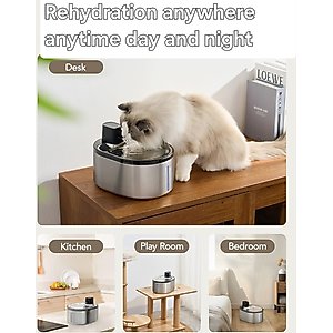 GroovyPets Stainless Steel Cordless Rechargeable Dog & Cat Water Fountain, 152-oz