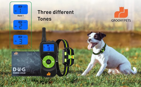 Show full view: GroovyPets Three-Dog Kit 800 Yard Waterproof Long-Life Rechargable Remote Dog Training Shock Collar System slide 3 of 11