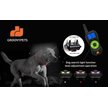 Show in main carousel: GroovyPets Three-Dog Kit 800 Yard Waterproof Long-Life Rechargable Remote Dog Training Shock Collar System slide 8 of 11