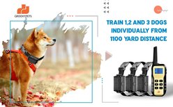GroovyPets Three-Dog Set 1100 Yard Auto Anti Bark, Humane Beep, Vibration, Static Shock Waterproof Rechargeable Dog Training Shock Collar System slide 2 of 6