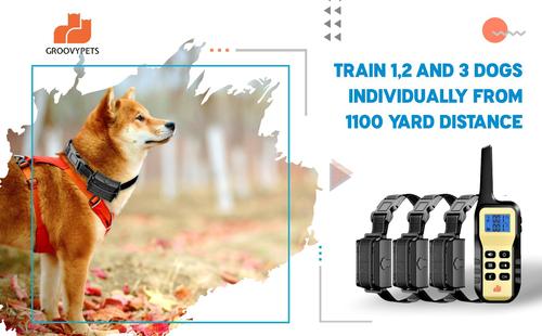 Show full view: GroovyPets Three-Dog Set 1100 Yard Auto Anti Bark, Humane Beep, Vibration, Static Shock Waterproof Rechargeable Dog Training Shock Collar System slide 2 of 7