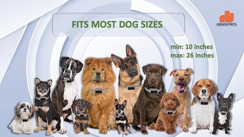 Show full view: GroovyPets Touchscreen Automatic Bark Collar Intelligent Bark Deterrent Dog Collar slide 7 of 12