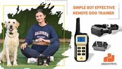 GroovyPets Two-Dog Set 1100 Yard Auto Anti Bark, Humane Beep, Vibration, Static Shock Waterproof Rechargeable Dog Training Shock Collar System slide 2 of 8