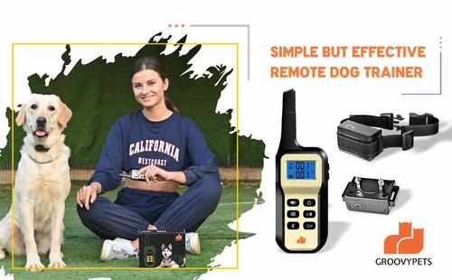 Show full view: GroovyPets Two-Dog Set 1100 Yard Auto Anti Bark, Humane Beep, Vibration, Static Shock Waterproof Rechargeable Dog Training Shock Collar System slide 2 of 9